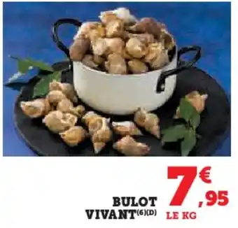 Hyper U Bulot vivant offre