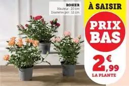 Hyper U Rosier offre