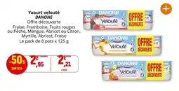 Coccinelle Supermarché Danone - yaourt velouté offre