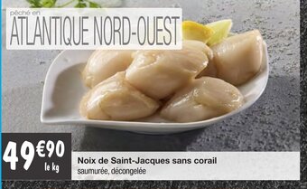Noix de saint-jacques sans corail
