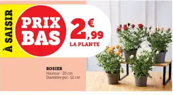 Super U Rosier offre