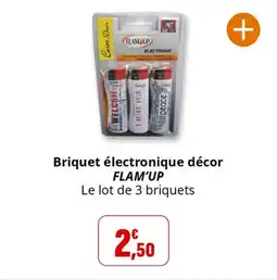 Coccinelle Supermarché Briquet électronique décor flam'up offre