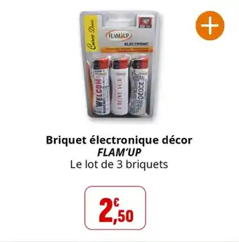 Coccinelle Supermarché Briquet électronique décor flam'up offre