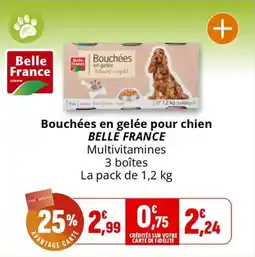 Coccinelle Supermarché Bouchées en gelée pour chien belle france offre