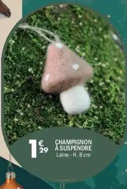La Foir'Fouille Champignon a suspendre offre