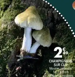 La Foir'Fouille Champignons sur clip offre