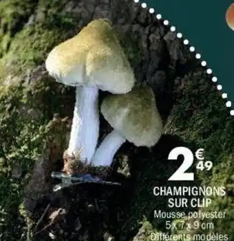 La Foir'Fouille Champignons sur clip offre