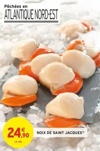 Intermarché Noix de saint jacques offre