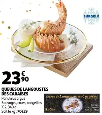 Queues de langoustes des caraïbes