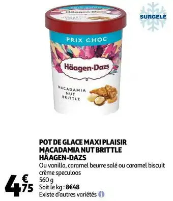 Auchan Häagen-dazs pot de glace maxi plaisir macadamia nut brittle offre