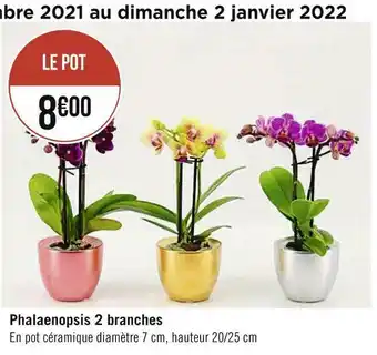 Géant Casino Phalaenopsis 2 branches offre