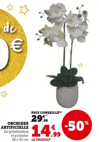 Super U Orchidee artificielle offre