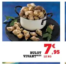 Hyper U Bulot vivant offre