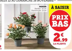 Hyper U Rosier offre