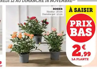 Hyper U Rosier offre