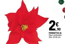 E.Leclerc POINSETTIA XL offre