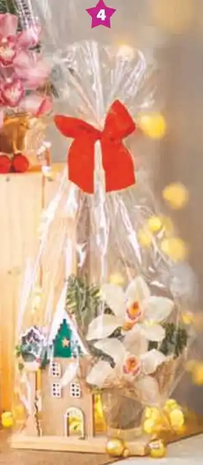 Super U Composition cymbidium offre