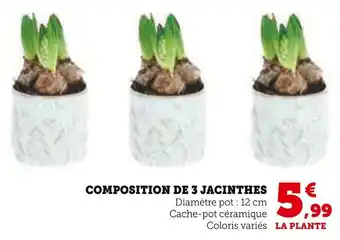 Super U Composition de 3 jacinthes offre