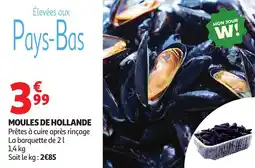 Auchan Moules de hollande offre