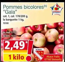 Norma GALA Pommes bicolores offre