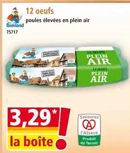 Norma BURELAND 12 oeufs offre