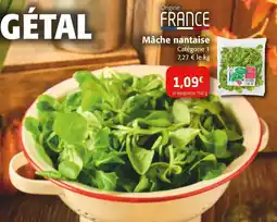 Colruyt Mâche nantaise offre