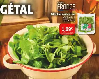 Colruyt Mâche nantaise offre