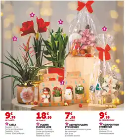 U Express Calla offre