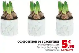 U Express Composition de 3 jacinthes offre
