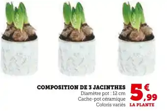 U Express Composition de 3 jacinthes offre