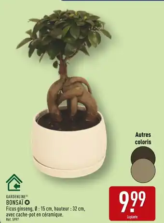 ALDI GARDENLINE Bonsaï offre