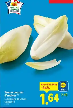 Lidl Jeunes pousses d'endives offre