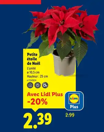 Lidl Petite étoile de Noël offre