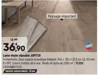 Bricorama Lame vinyle clipsable jupiter offre