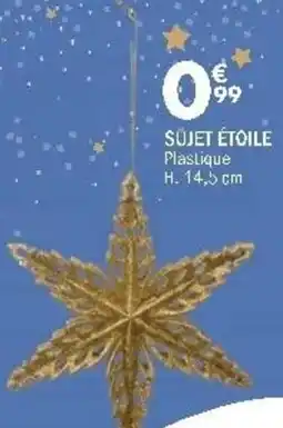 La Foir'Fouille Sujet étoile offre