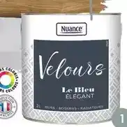 Bricorama Nuance - peinture velours offre