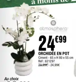 La Foir'Fouille Orchidée en pot offre
