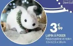 La Foir'Fouille Lapin à poser offre