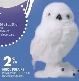 La Foir'Fouille Hibou polaire offre