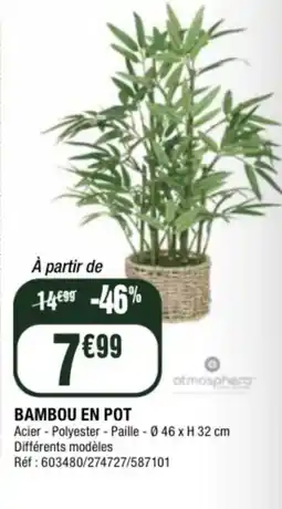 La Foir'Fouille Bambou en pot offre