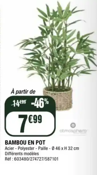 La Foir'Fouille Bambou en pot offre