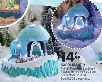 La Foir'Fouille Igloo lumineux offre