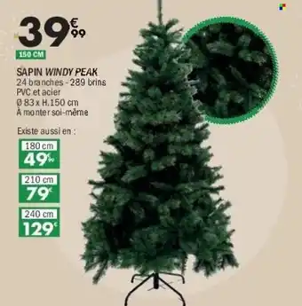 La Foir'Fouille Sapin windy peak offre