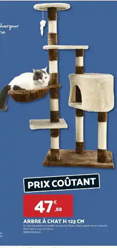 Bricomarché Arbre à chat offre