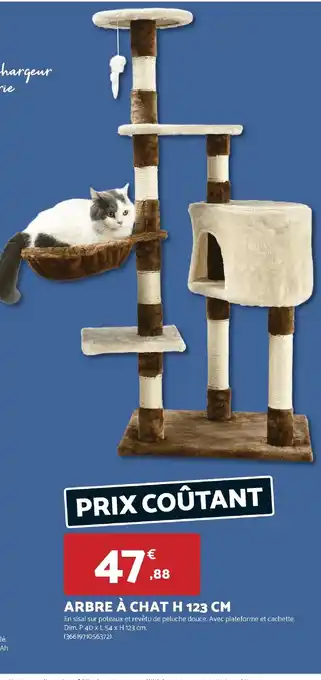 Bricomarché Arbre à chat offre
