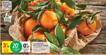 Intermarché Clémentine feuille de Corse offre