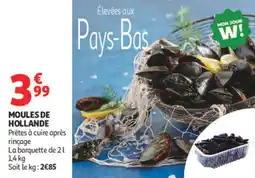 Auchan Supermarché Moules de hollande offre