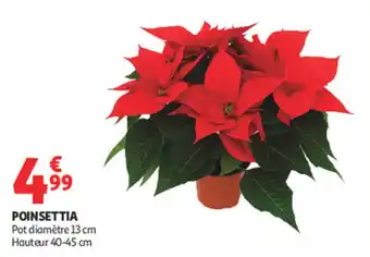 Auchan Supermarché Poinsettia offre