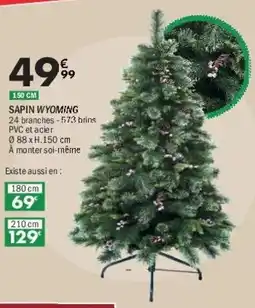 La Foir'Fouille Sapin wyoming offre