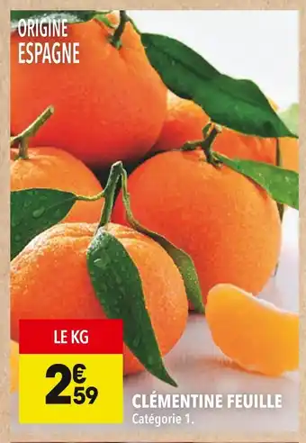 Supeco Clémentine feuille offre